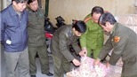 Tịch thu gần một tấn chân gà không rõ nguồn gốc